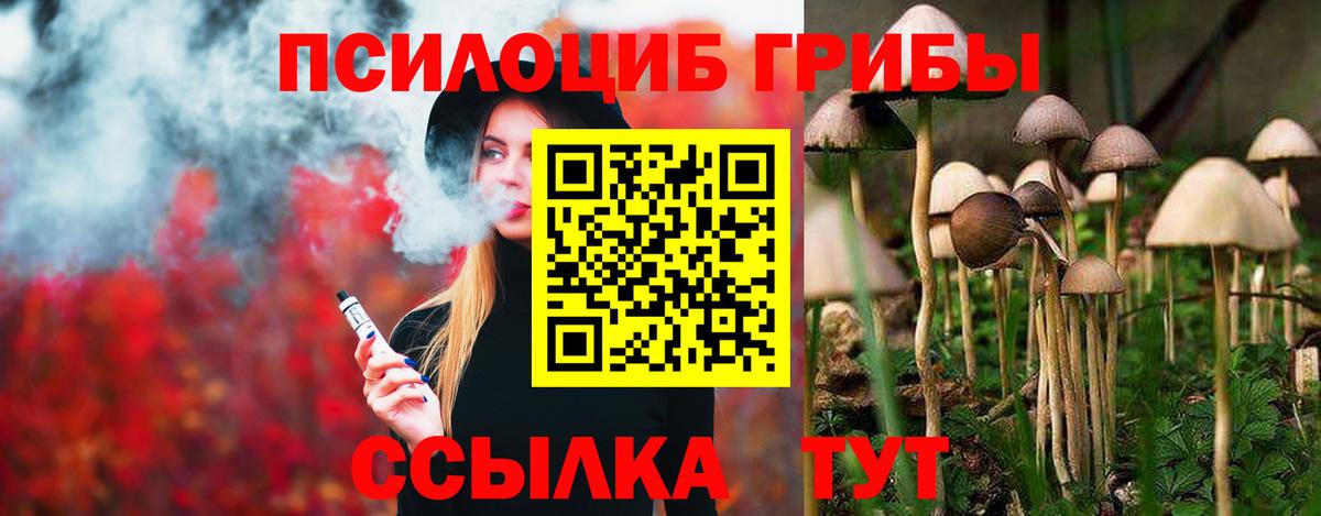 Сарапул  Псилоцибиновые грибы мицелий  Вход с VPN 